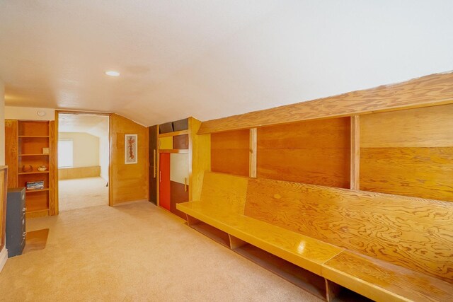 mudroom featuring lofted ceiling and carpet flooring