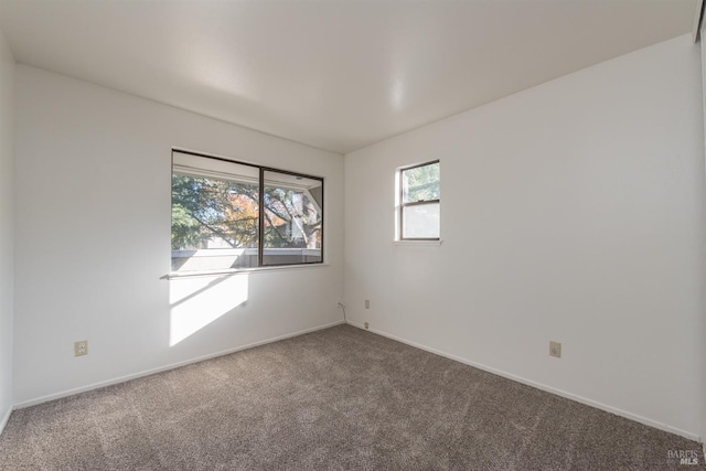 unfurnished room with carpet