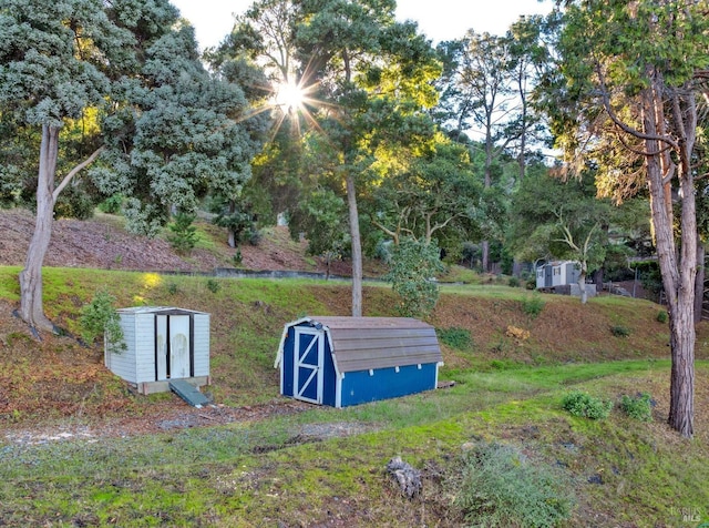 view of yard with a storage unit