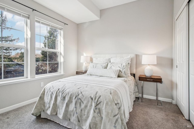 carpeted bedroom with a closet