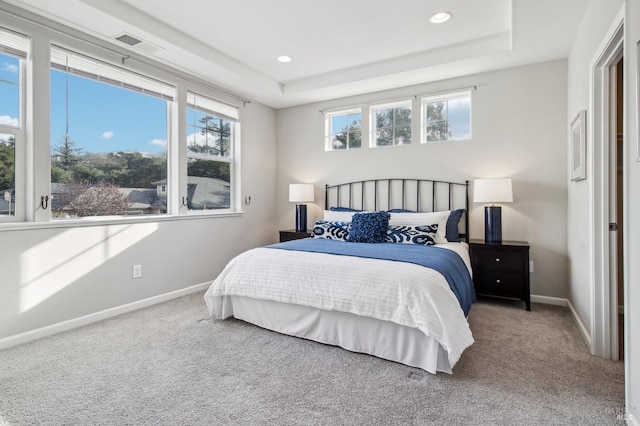 carpeted bedroom with a tray ceiling