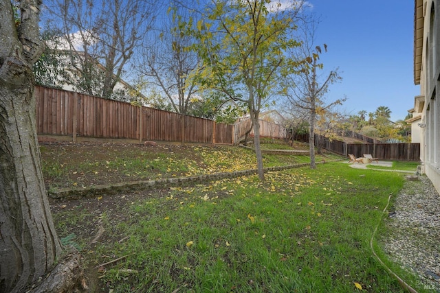 view of yard with a fenced backyard