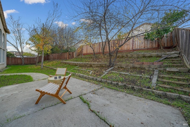 view of yard with a patio area and a fenced backyard