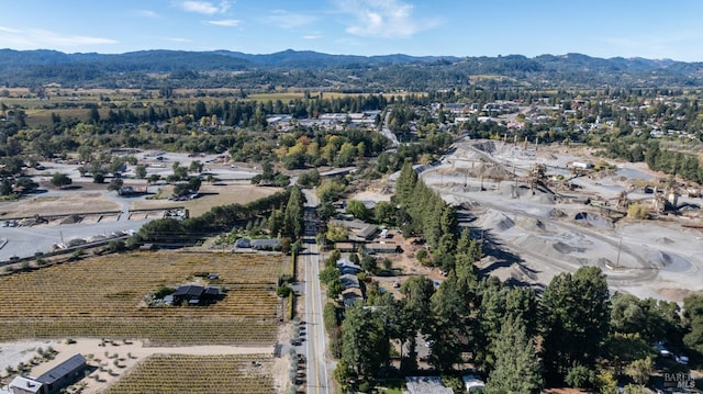 birds eye view of property featuring a mountain view