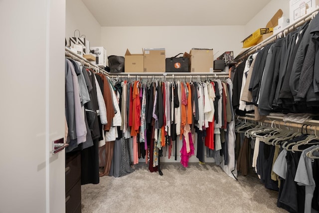 spacious closet featuring carpet flooring