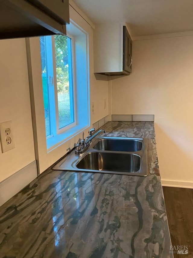 kitchen with crown molding, dark hardwood / wood-style flooring, and sink