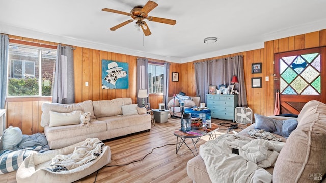 living room featuring a wealth of natural light, light hardwood / wood-style flooring, ceiling fan, and ornamental molding