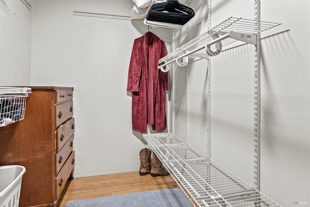 spacious closet featuring light hardwood / wood-style flooring