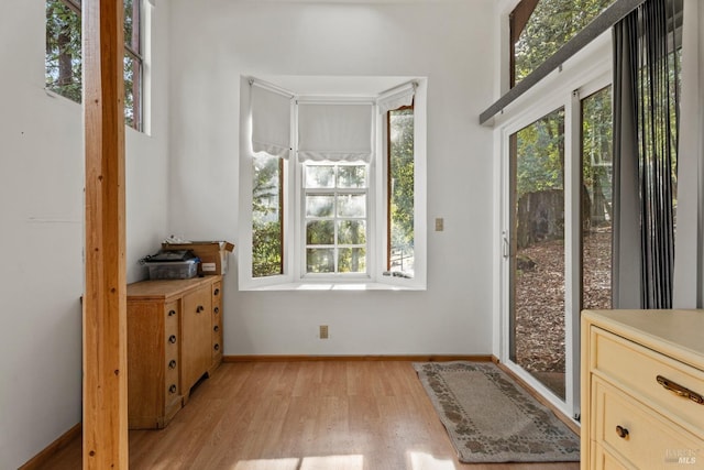 doorway to outside featuring light wood-type flooring