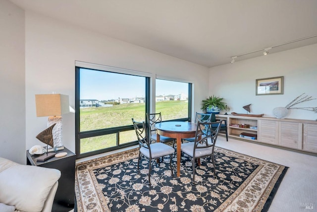 dining space featuring carpet and rail lighting