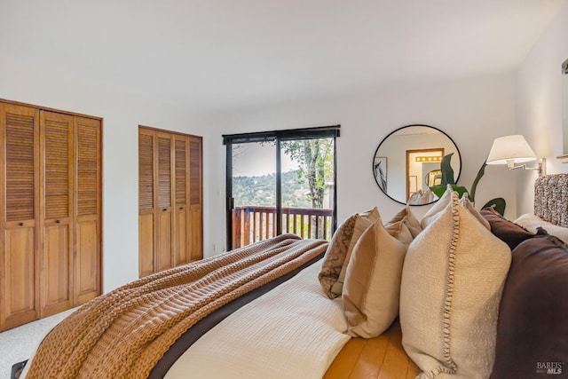 bedroom featuring hardwood / wood-style flooring, access to exterior, and two closets