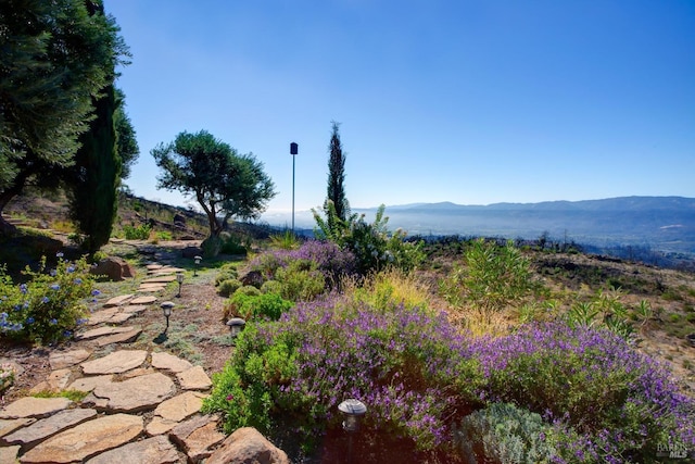 view of property's community featuring a mountain view