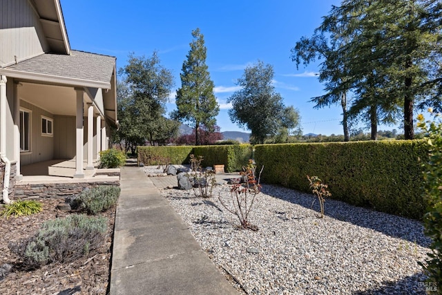 view of yard featuring a patio