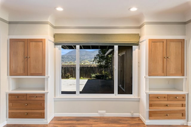 interior space with a mountain view, hardwood / wood-style floors, and crown molding