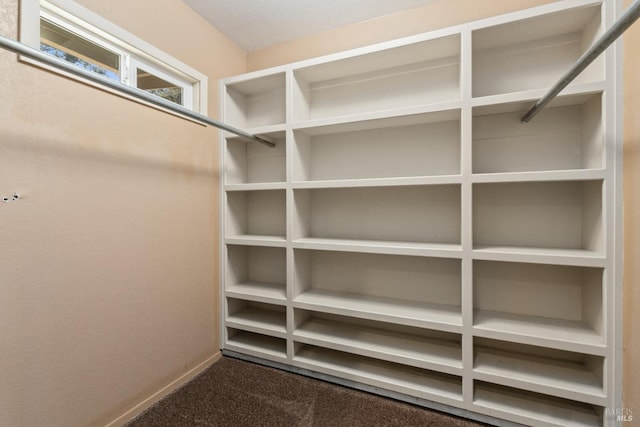 walk in closet featuring carpet floors