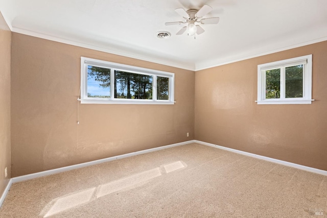 spare room with ceiling fan, carpet, and ornamental molding