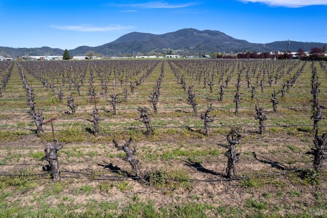 property view of mountains featuring a rural view