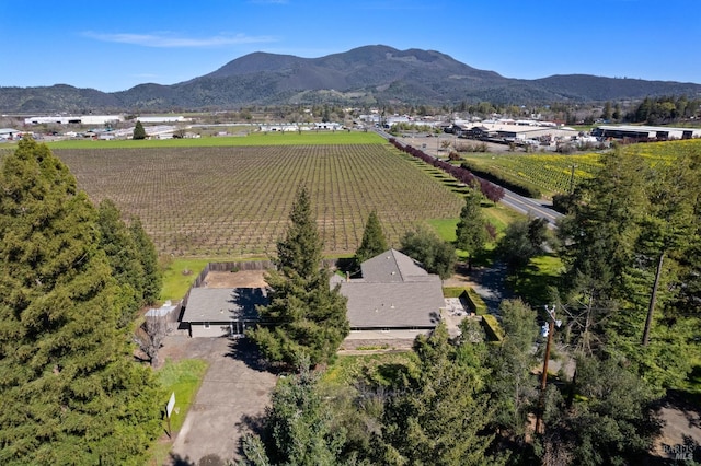 drone / aerial view featuring a mountain view