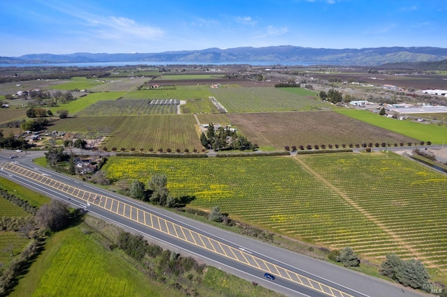 drone / aerial view featuring a mountain view and a rural view