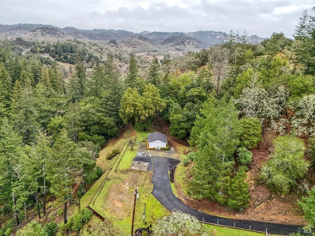 bird's eye view featuring a mountain view and a view of trees