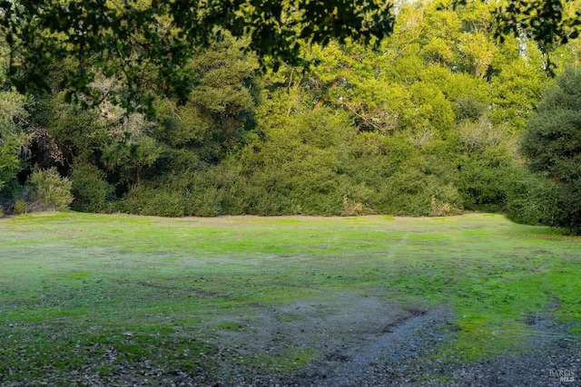 view of landscape