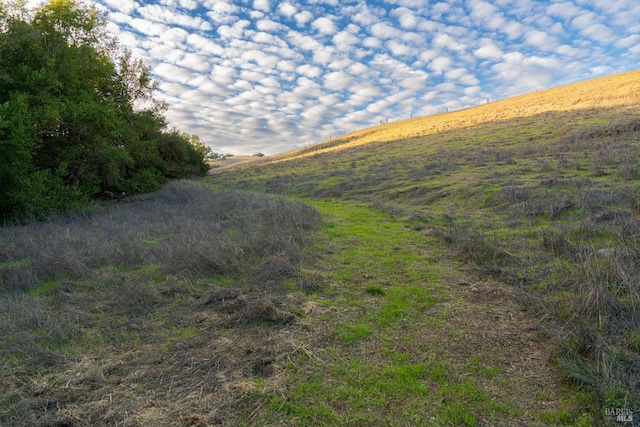 view of landscape