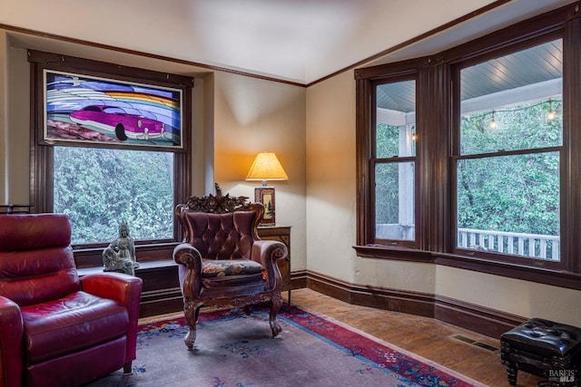 living area featuring lofted ceiling, hardwood / wood-style flooring, and a healthy amount of sunlight