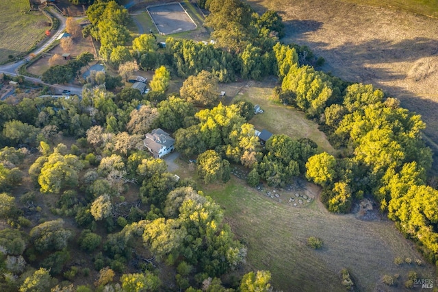 drone / aerial view