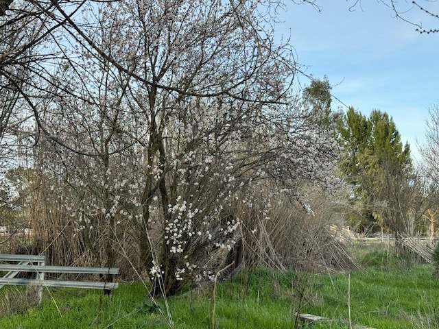 view of landscape