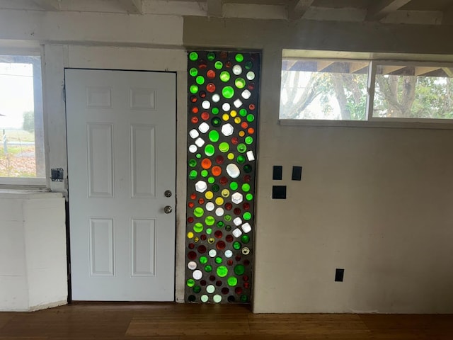 foyer entrance featuring hardwood / wood-style flooring and plenty of natural light