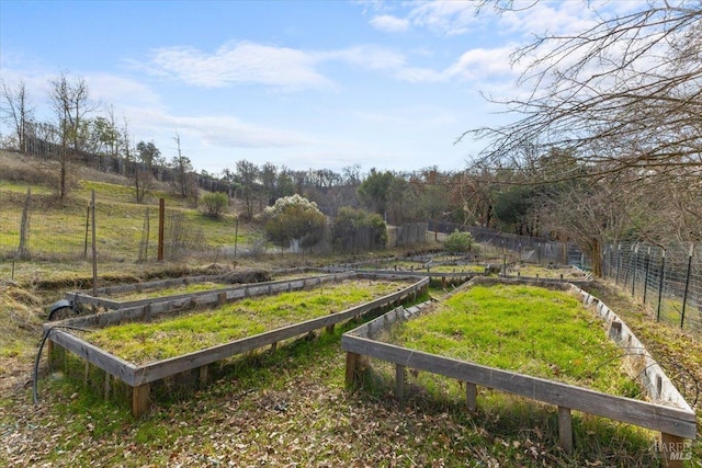 view of yard featuring a rural view