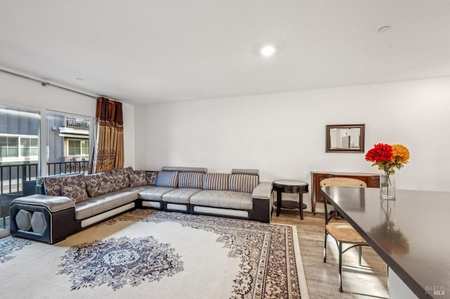 living room with light wood-type flooring