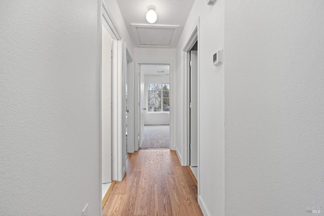 corridor featuring light wood-type flooring