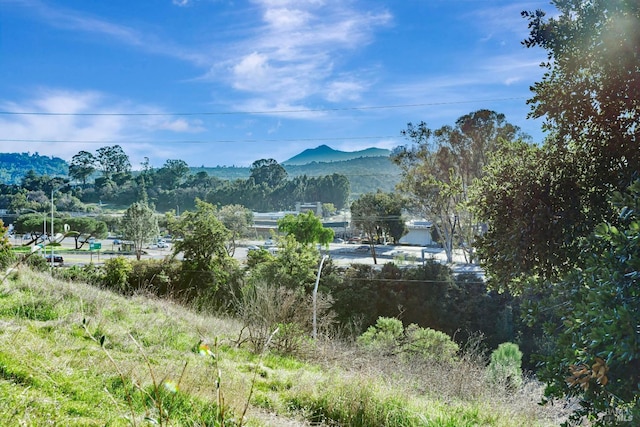 view of mountain feature