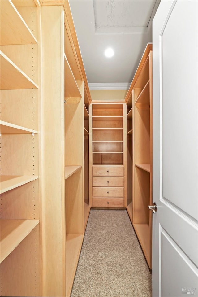 spacious closet with light colored carpet