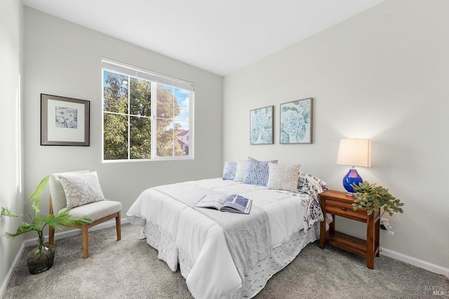 bedroom with baseboards and carpet