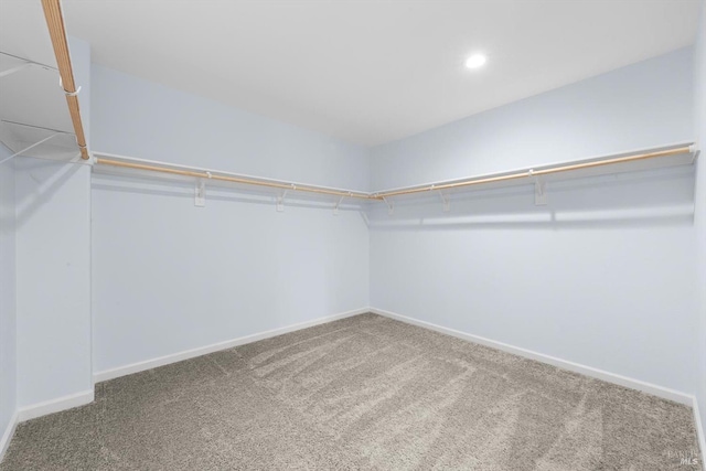 spacious closet with carpet