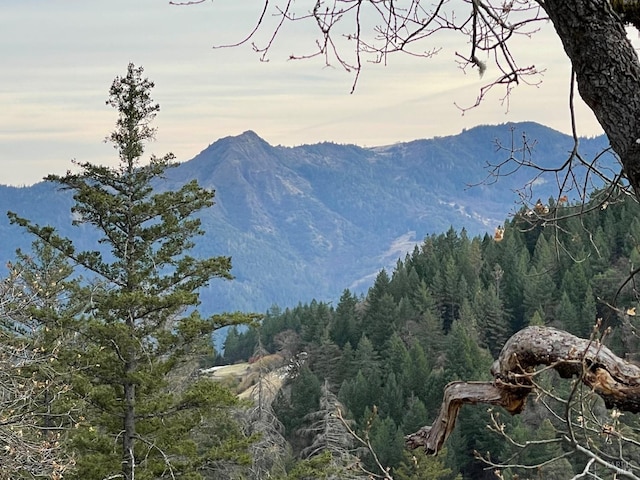 property view of mountains