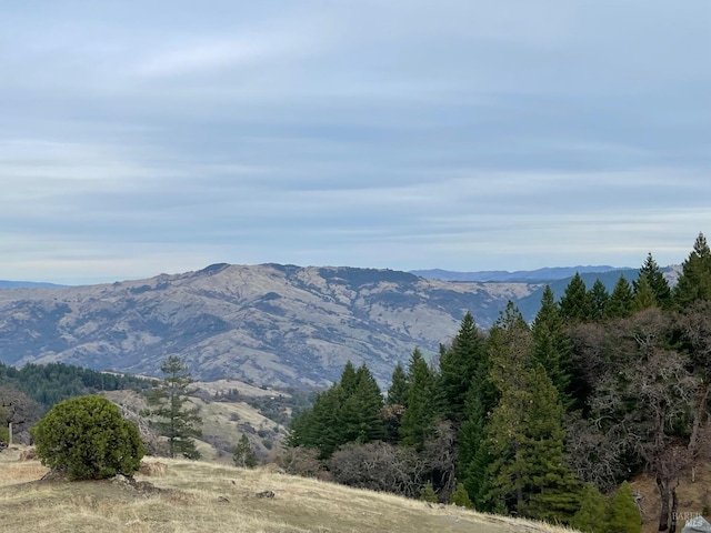 view of mountain feature