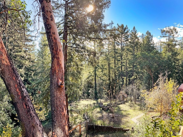 view of local wilderness