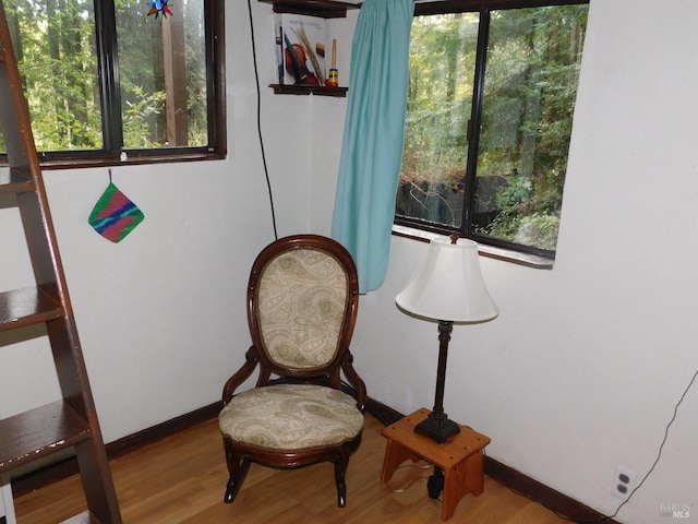 sitting room featuring light hardwood / wood-style floors