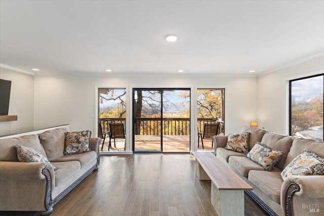 living room featuring plenty of natural light, dark hardwood / wood-style floors, and ornamental molding