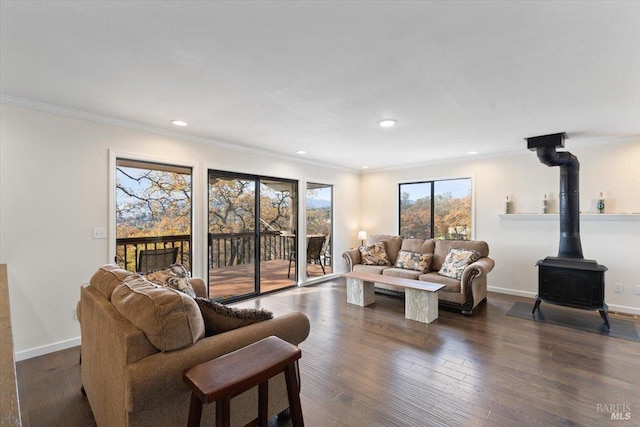 living room with dark hardwood / wood-style flooring, ornamental molding, and a wood stove