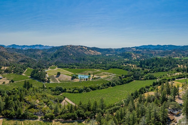 birds eye view of property featuring a mountain view and a rural view