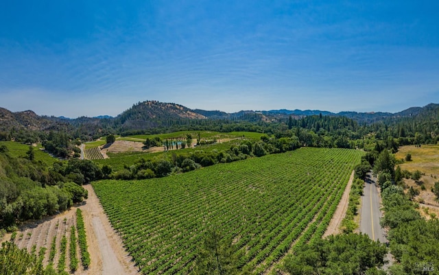 property view of mountains with a rural view