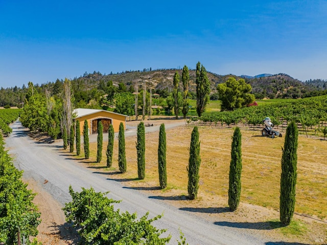 view of home's community featuring a mountain view and a rural view