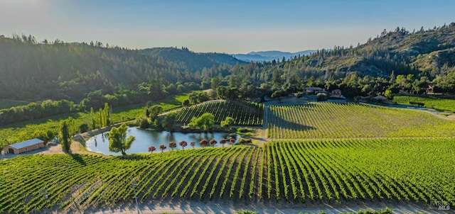 drone / aerial view featuring a water and mountain view and a rural view