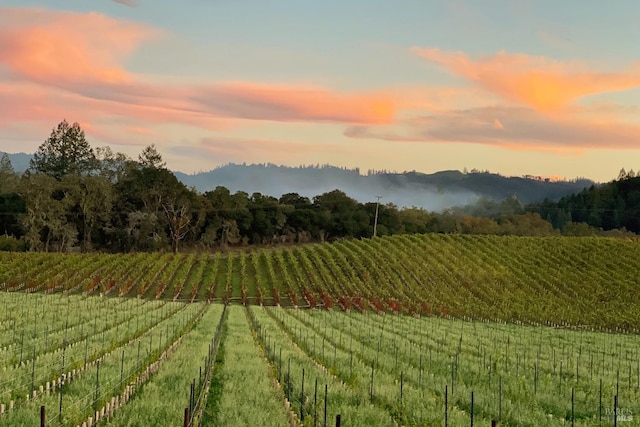 yard at dusk featuring a rural view