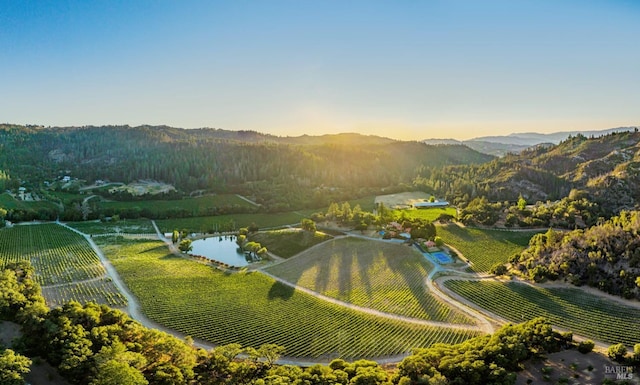 aerial view at dusk featuring a water and mountain view and a rural view