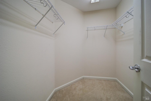 walk in closet with carpet